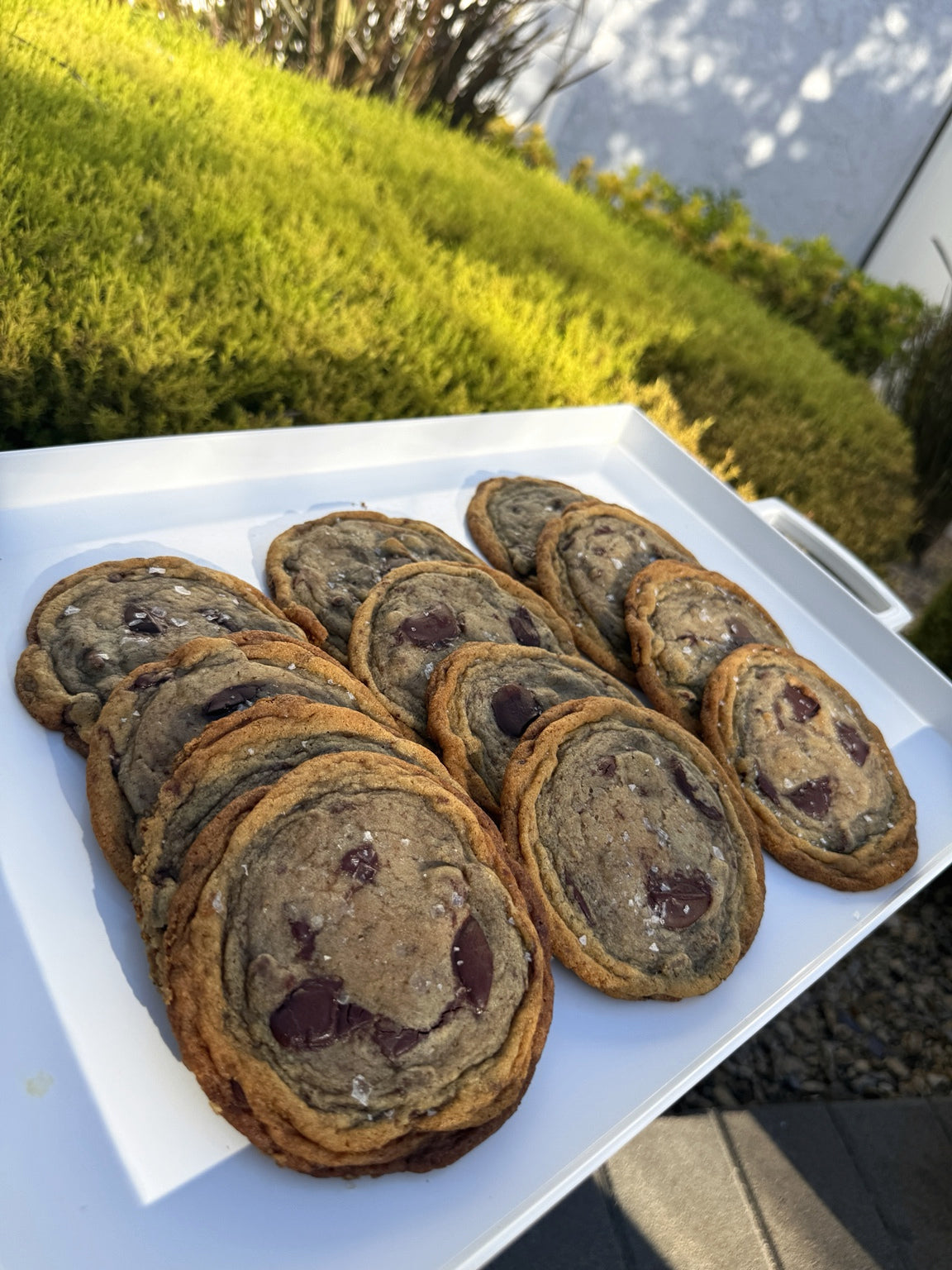 Studio Chocolate Chip Cookies -12 Pack