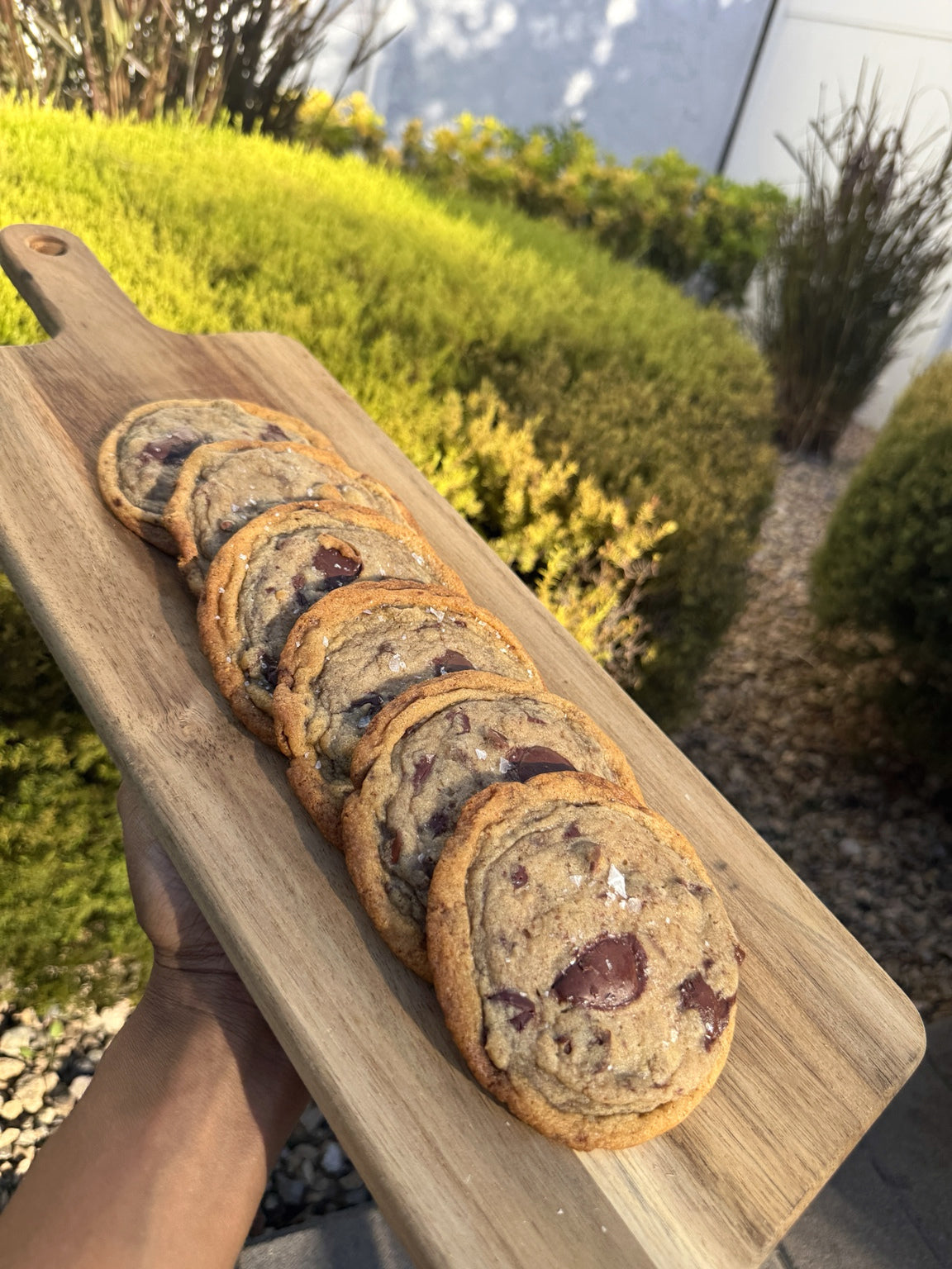 Studio Chocolate Chip Cookies - 6 Pack